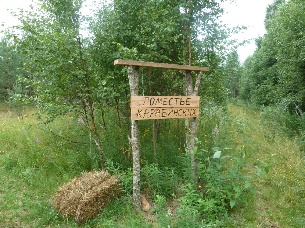 Поместье Карабинских